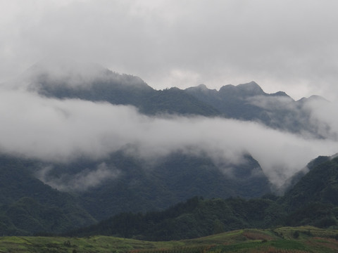 高山云雾三