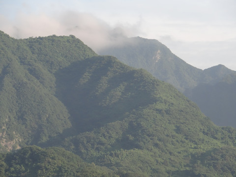 高山云雾七