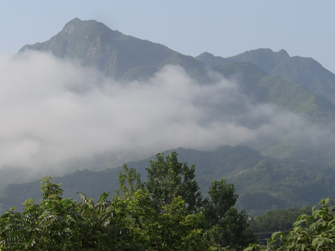 高山云雾三