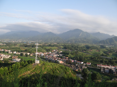 高山云雾三