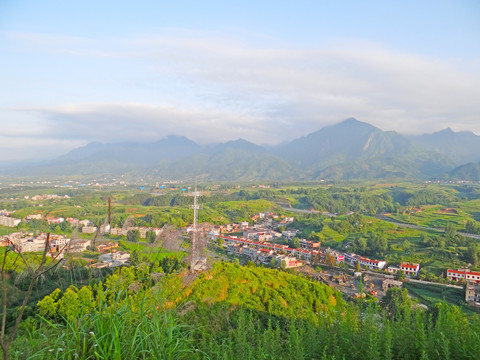 高山云雾八