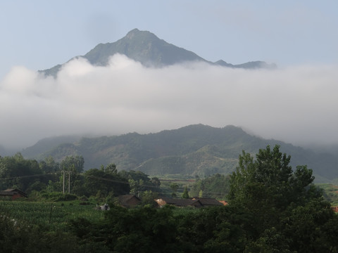 高山云雾七