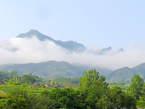 高山云雾三