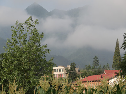 高山云雾四