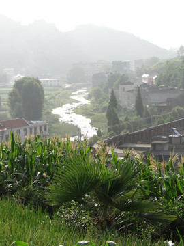 高山云雾二