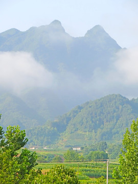 高山云雾七