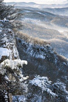 山城瑞雪