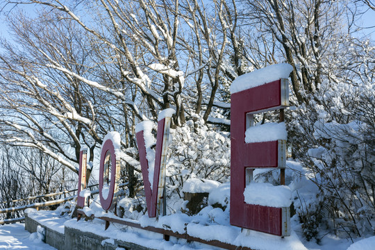 山城瑞雪