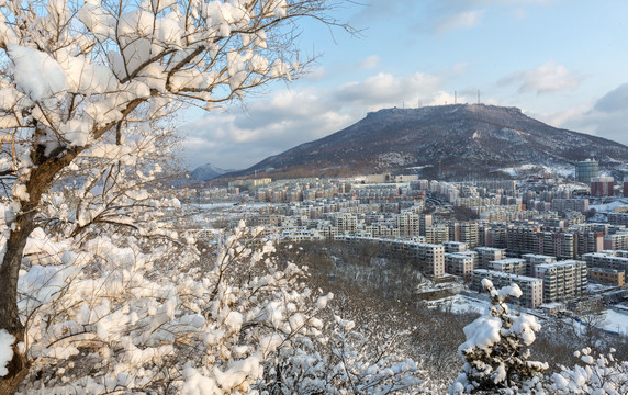 山城瑞雪