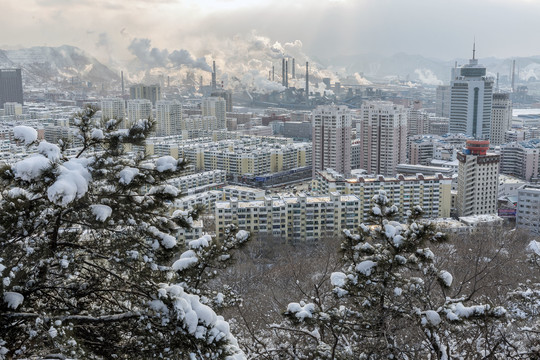 山城瑞雪