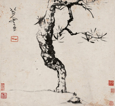 朱耷清八大山人虬松圖