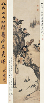 朱耷清八大山人雙鶉菊石圖