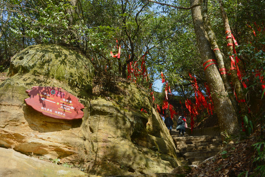 杨家界乌龙寨山路和指示牌