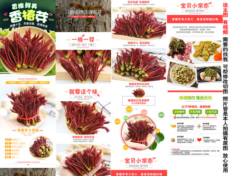 紅香椿芽詳情頁