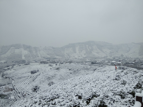 江南雪景