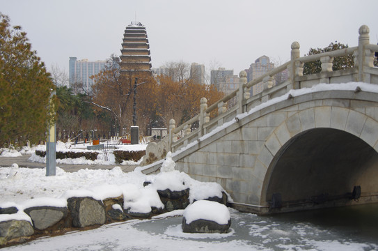 西安小雁塔雪景