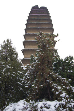 西安小雁塔雪景