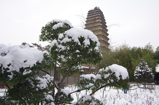 西安小雁塔雪景