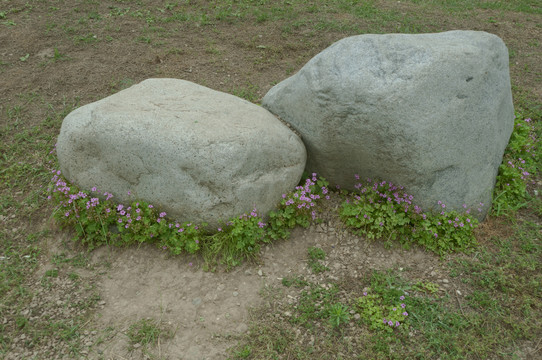 地上的石头