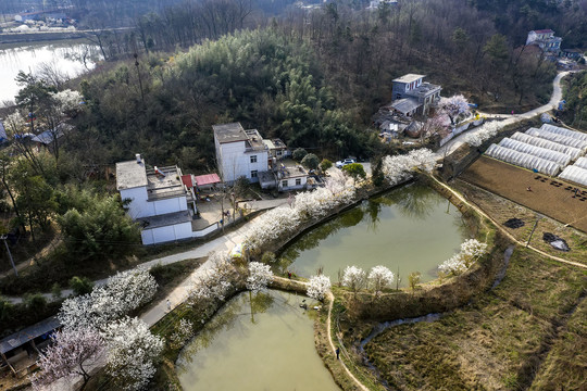 山村的春天