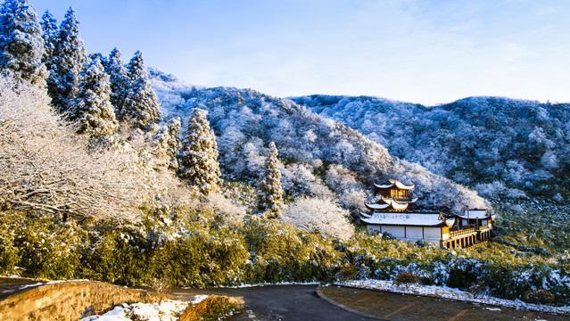 金佛山的雪