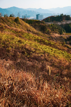 山城山坡城市远景