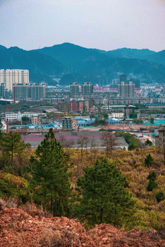 山城高山城市