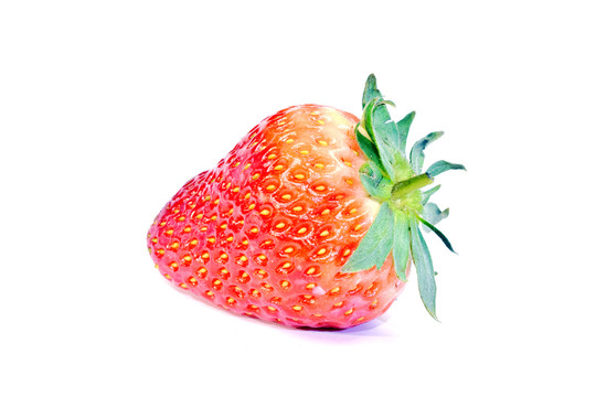 草莓白底图