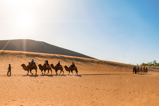 敦煌鸣沙山景区沙漠沙山骆驼