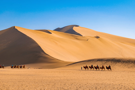 敦煌鸣沙山景区沙漠沙山骆驼队