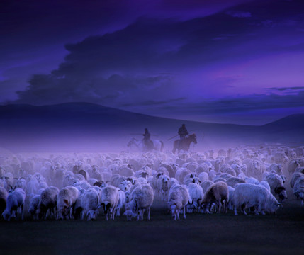 日暮牧羊