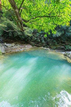 重庆黑山谷原始生态风景区