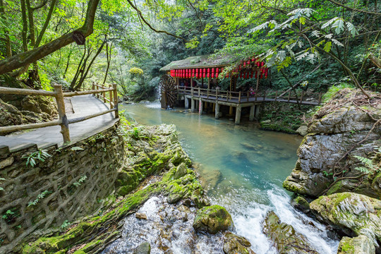 重庆黑山谷原始生态风景区