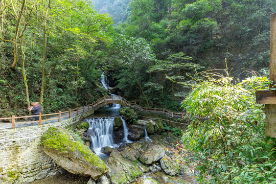 重庆黑山谷原始生态风景区