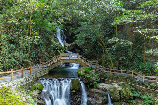 重庆黑山谷原始生态风景区