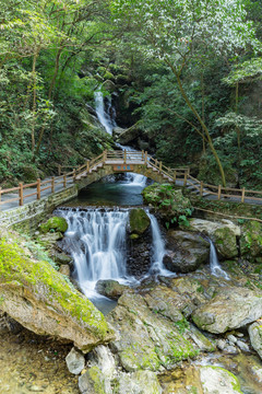 重庆黑山谷原始生态风景区