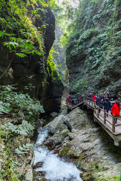 重庆黑山谷原始生态风景区