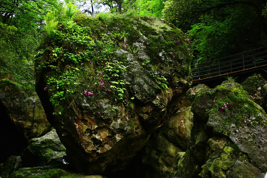 雅安荥经龙苍沟风景