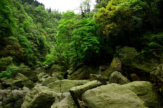 雅安荥经龙苍沟风景