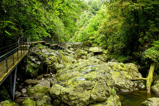 雅安荥经龙苍沟风景