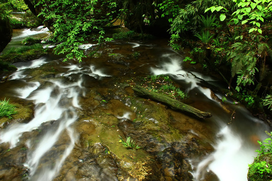 雅安荥经龙苍沟风景区