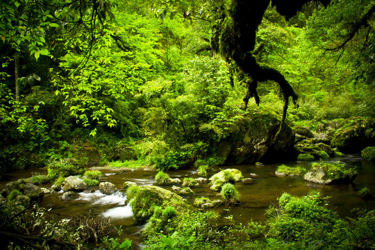 雅安荥经龙苍沟风景区