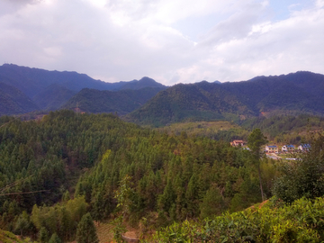 茶山风景