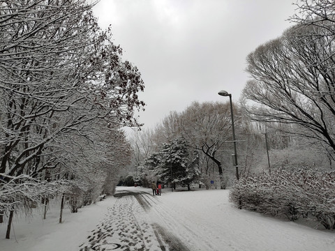 北京奥林匹克森林公园雪景