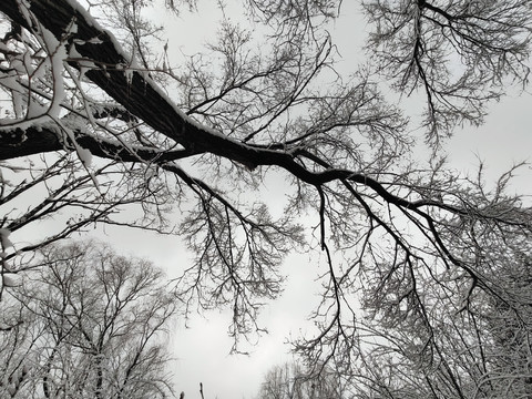 北京奥林匹克森林公园雪景