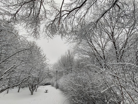 北京奥林匹克森林公园雪景