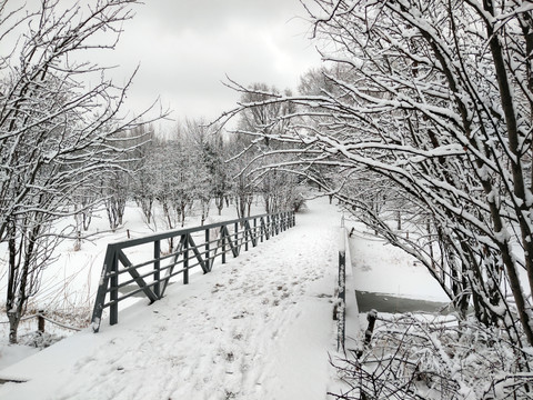 北京奥林匹克森林公园雪景