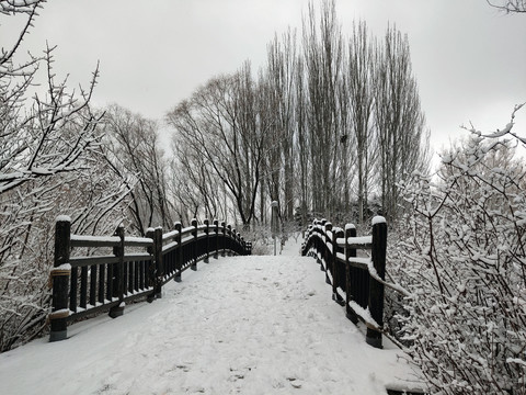 北京奥林匹克森林公园雪景