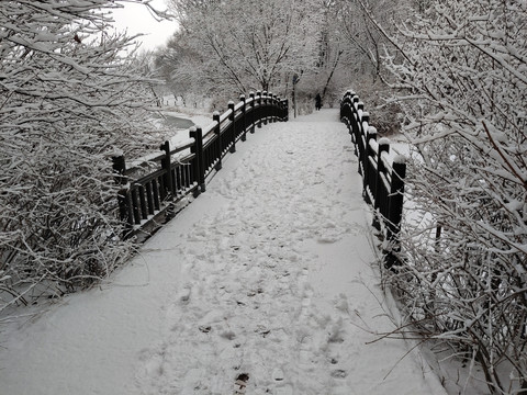 北京奥林匹克森林公园雪景