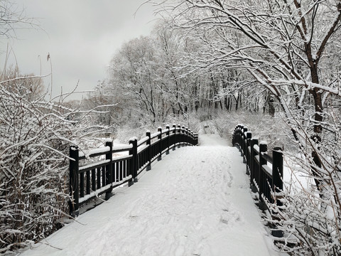 北京奥林匹克森林公园雪景